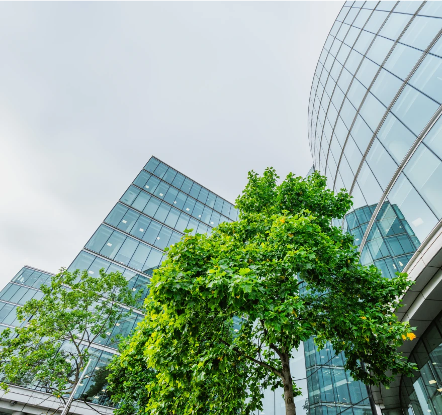 Modern glass office buildings with green trees growing in the foreground