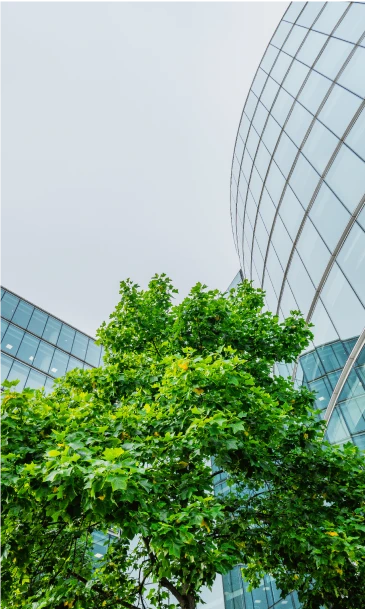 Green tree in front of a modern glass office building with a curved facade